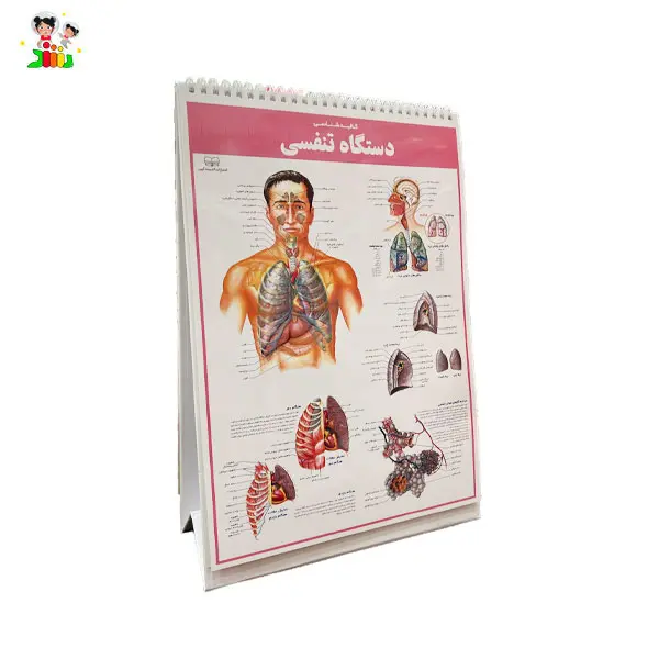 کتاب اطلس کالبد شناسی(آناتومی) بدن انسان | اندیشه کهن